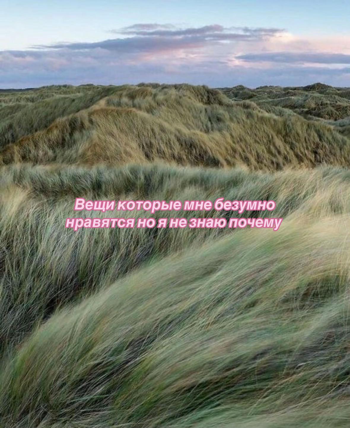 @а’лина желëзо