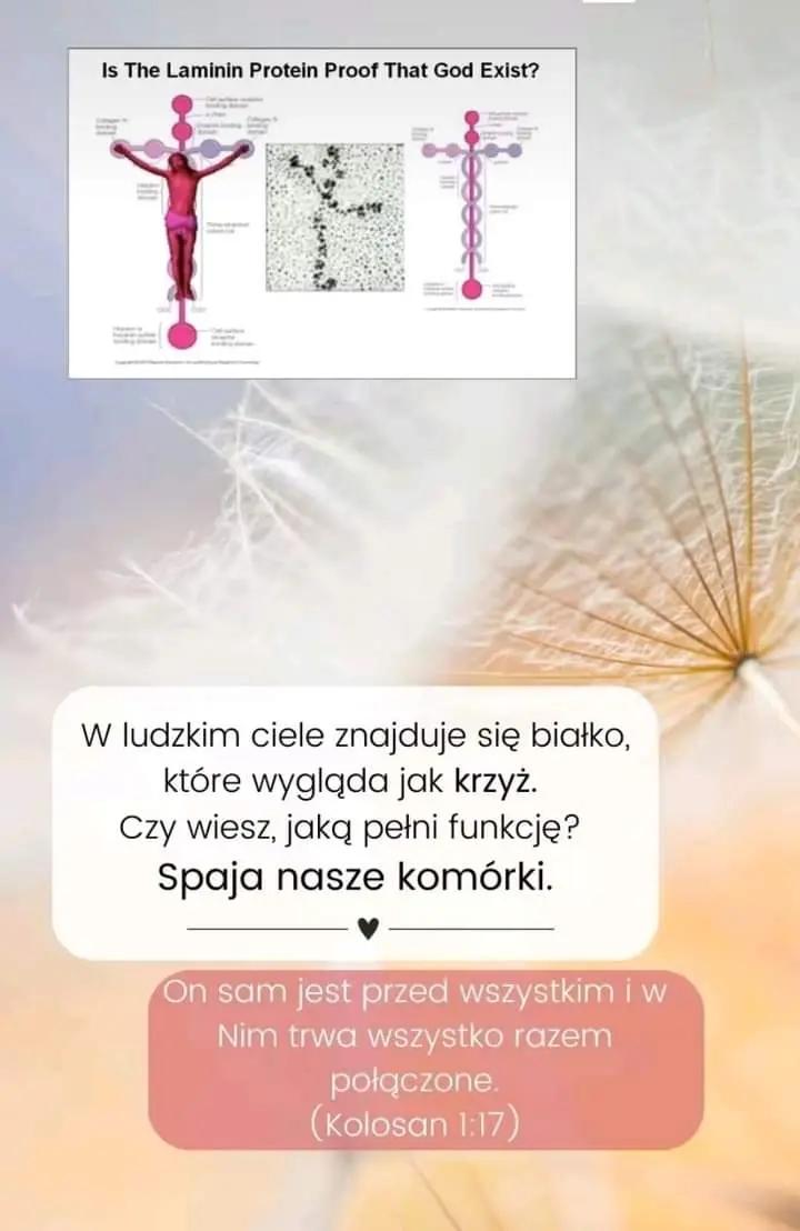 @Łaska Boża 🙏✝️
