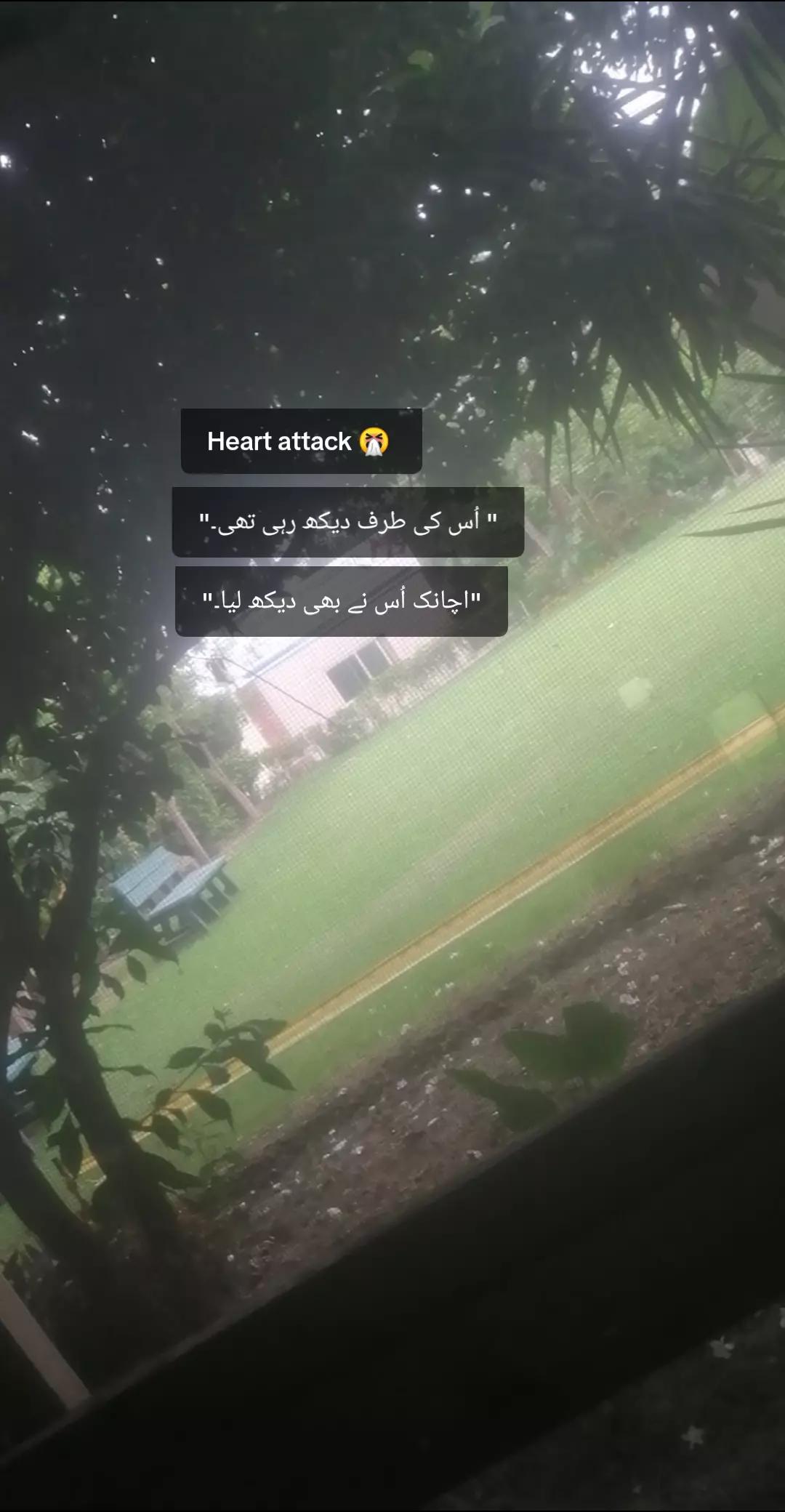 @IMK 💞