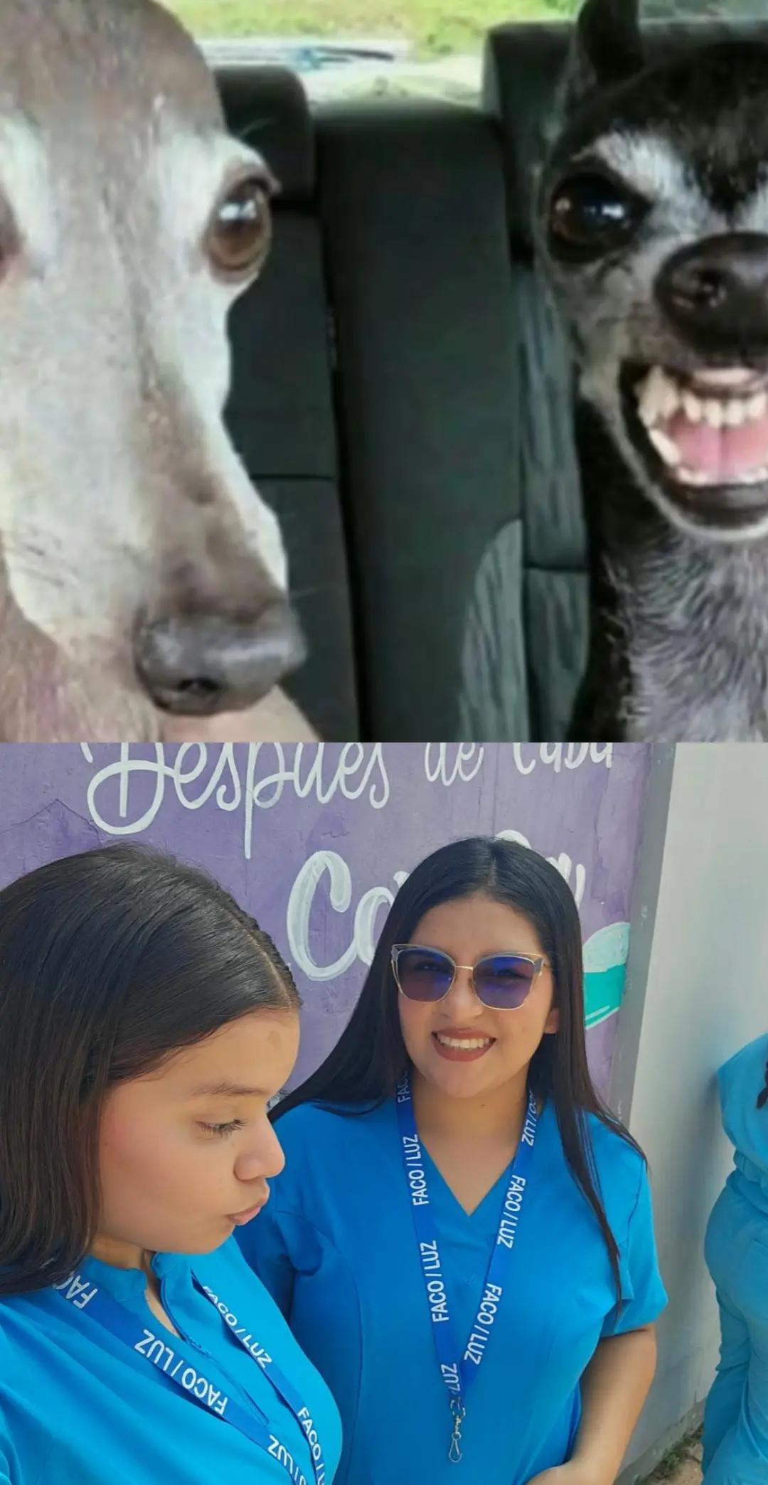@Marisabel🐍