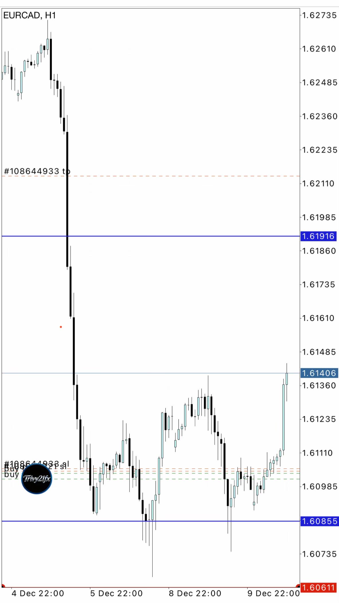 @Trivy21fx