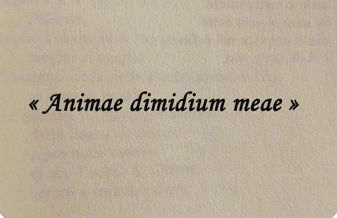 @reginaa🌪️