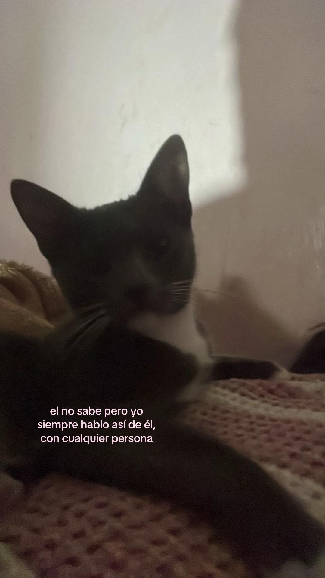 @💜