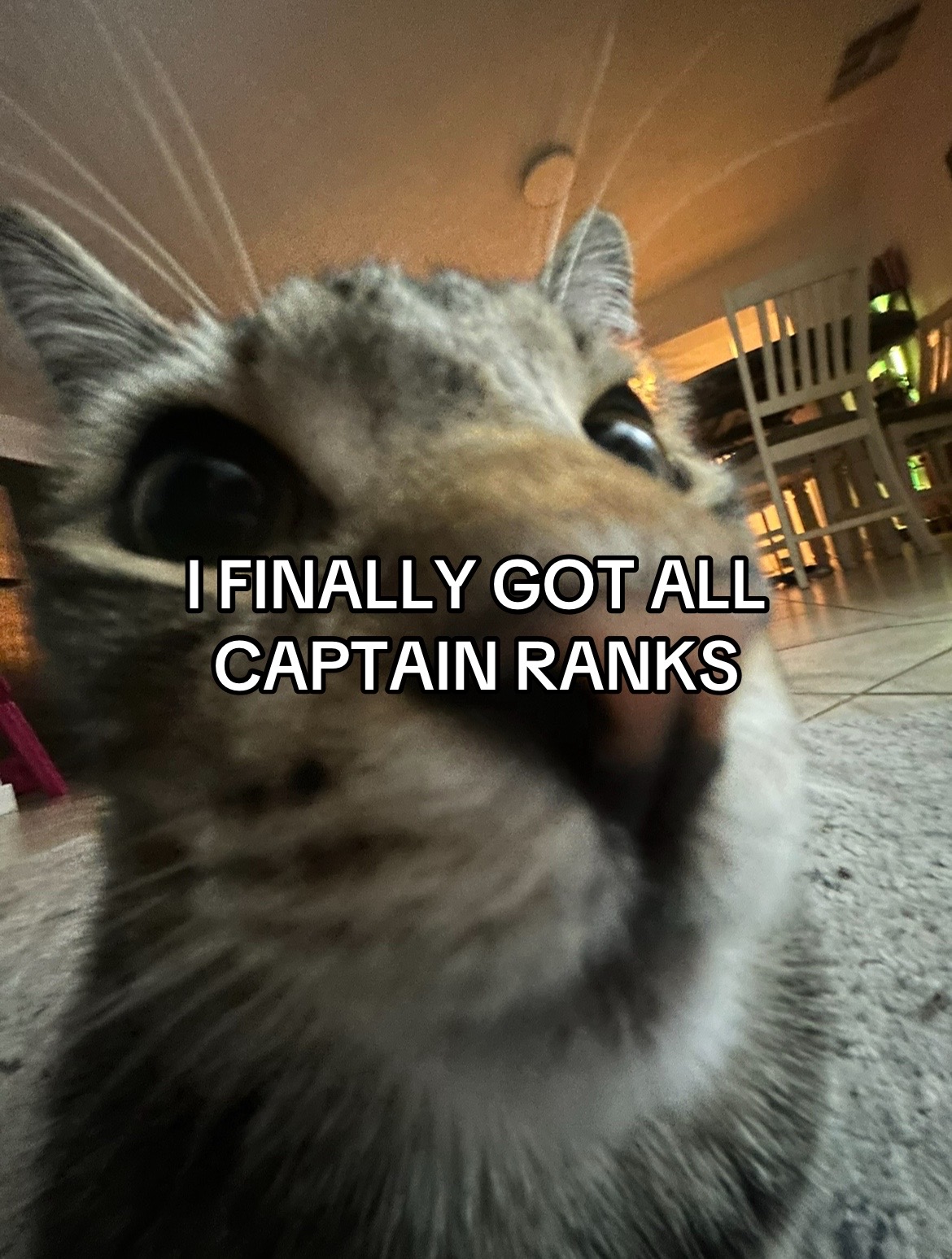 @Jazzhands
