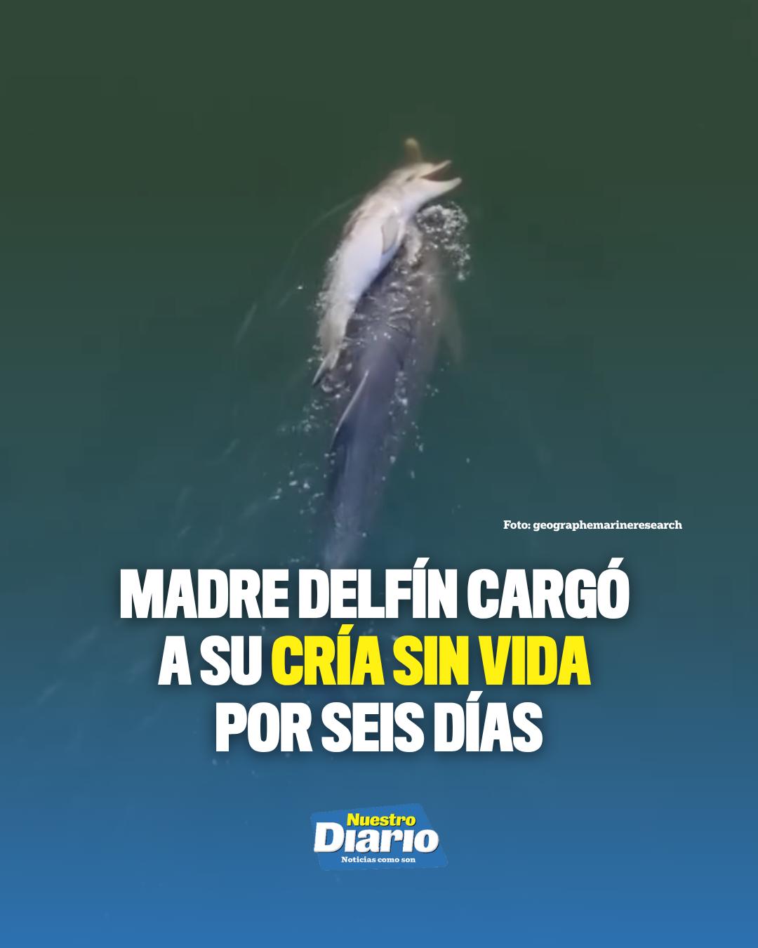 @Tiktok oficial Nuestro Diario