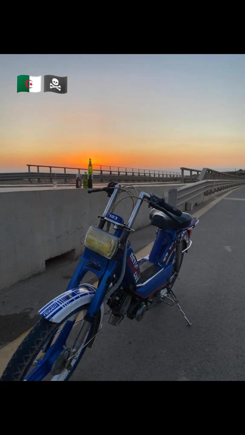@𝑴𝒐𝒖 𝑺𝑺𝒂 󱢏