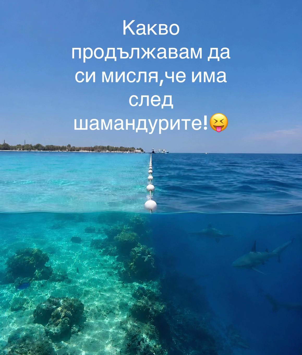 @🌴🌺V.N🌊🎧