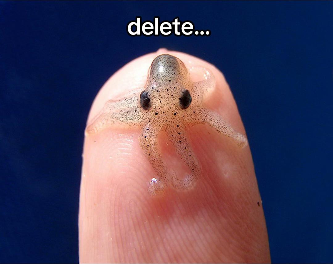 @Optimal Octopus