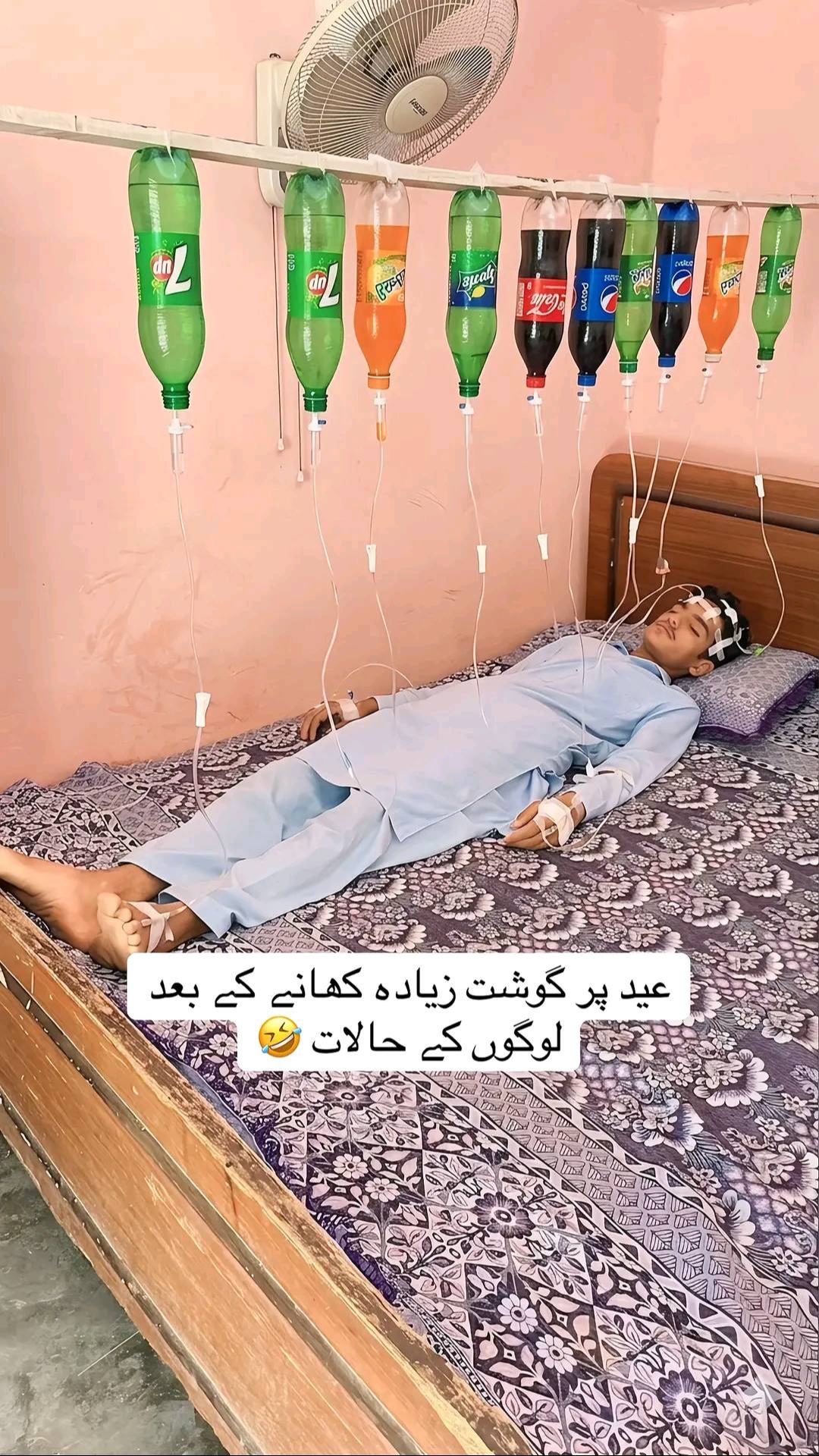 @shehzadi