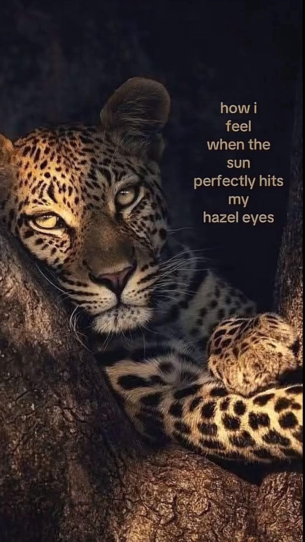 @maiz🤍