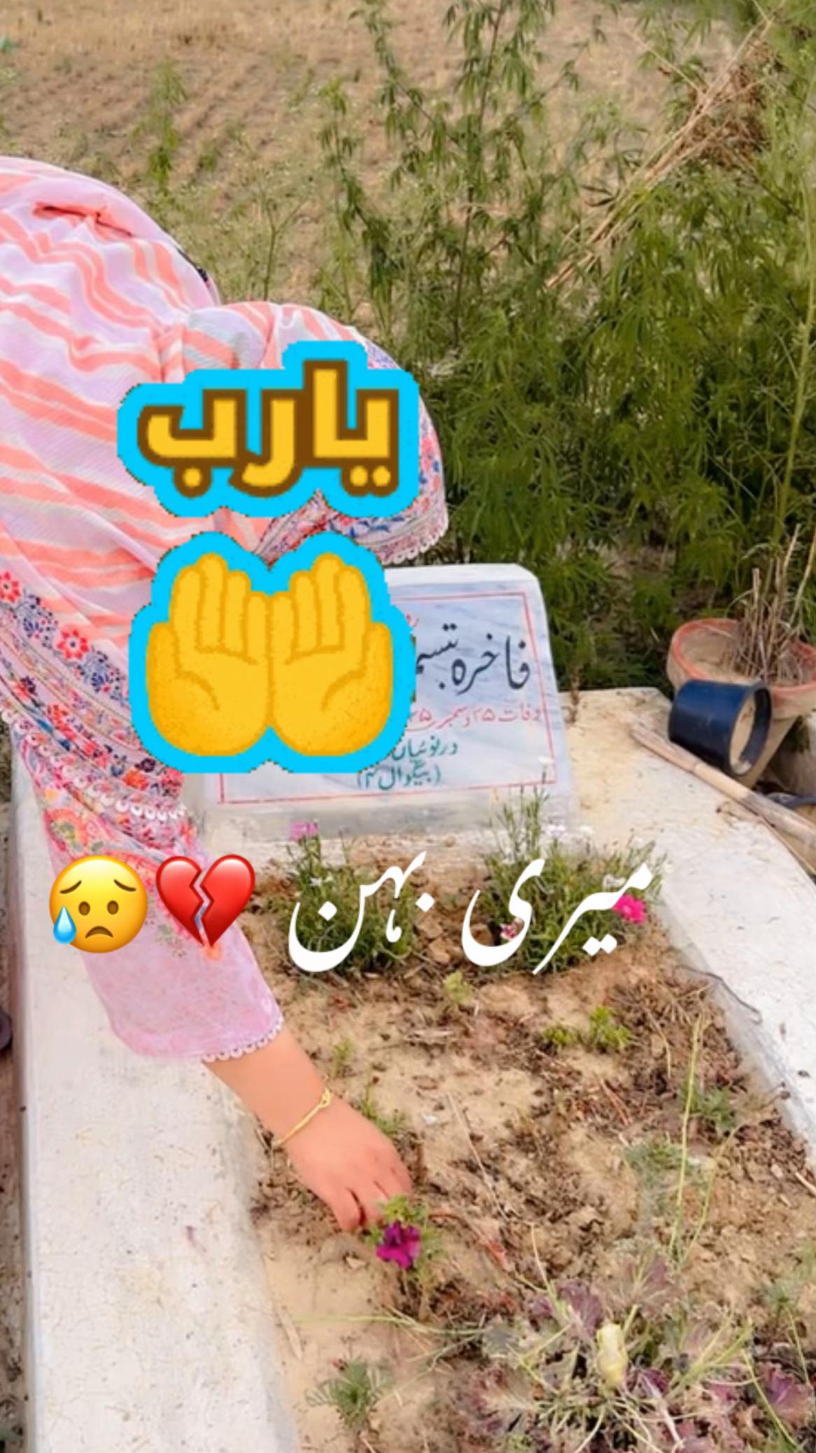 @Yasi 2015
