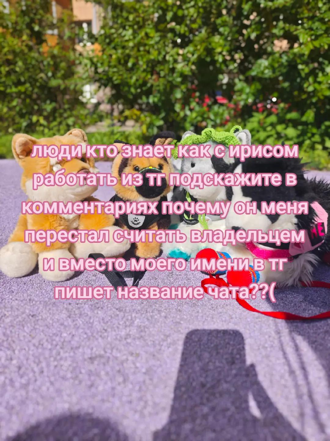 @🍦АБРИКОС🌫️[PDB] [ESSA]