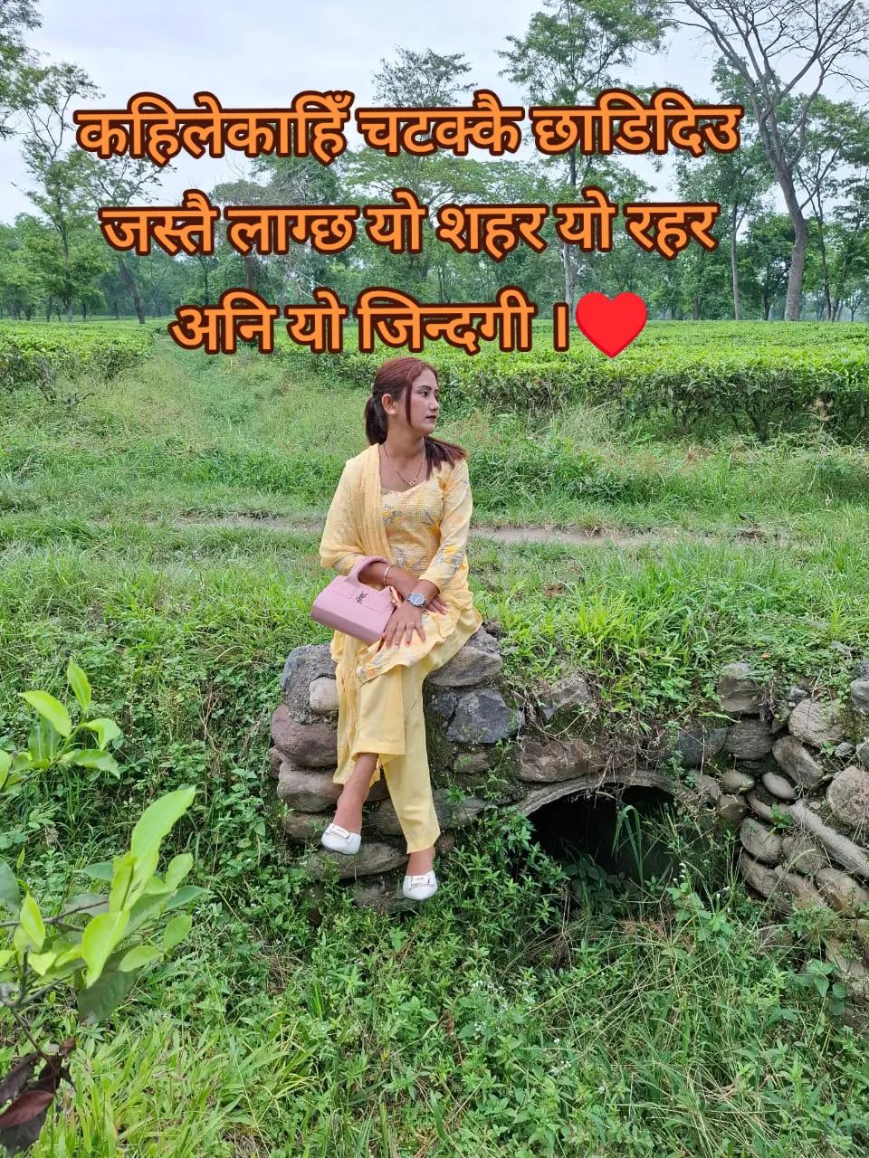 @Saru Chauhan503