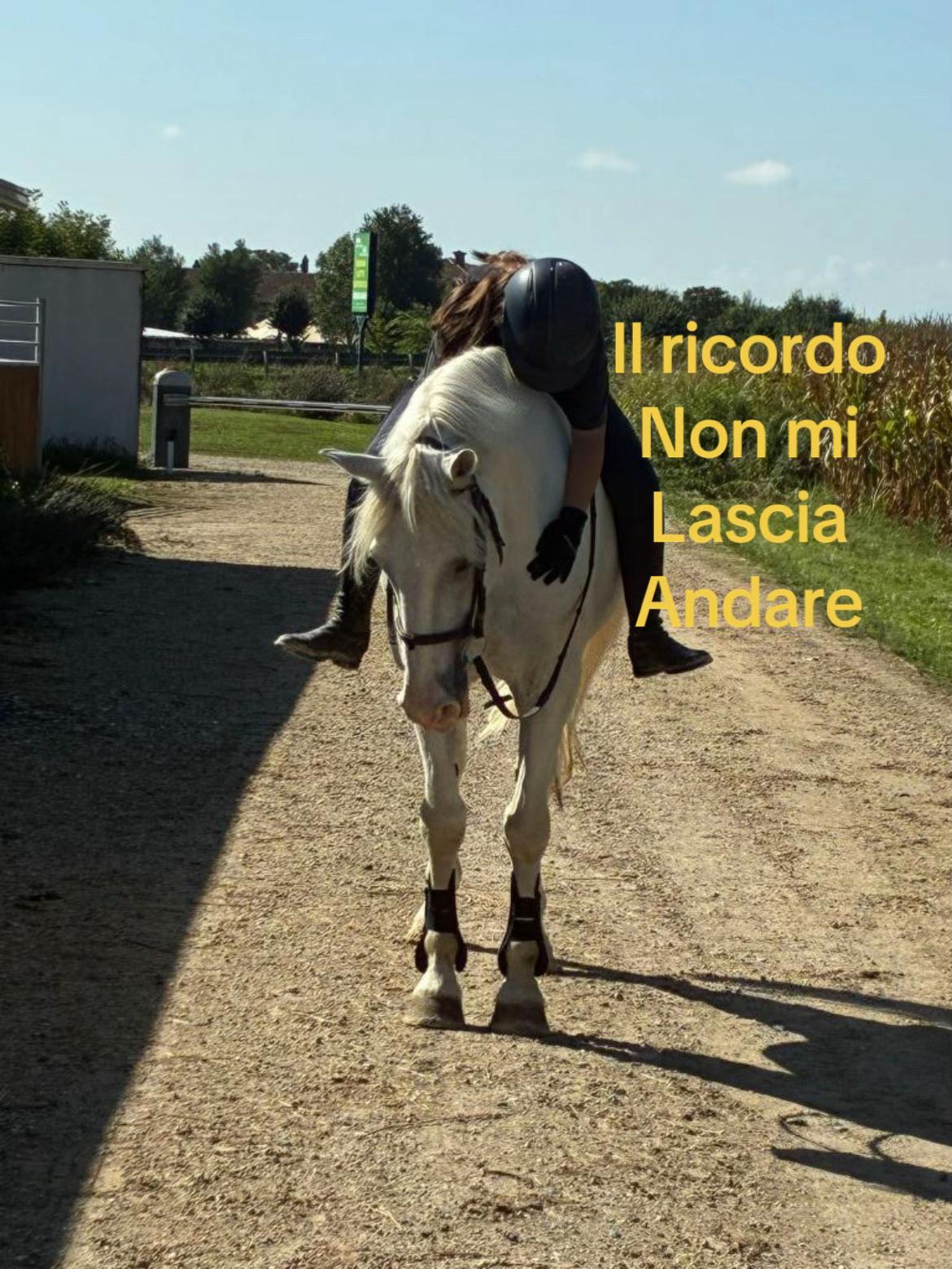 @martiiiii🩵