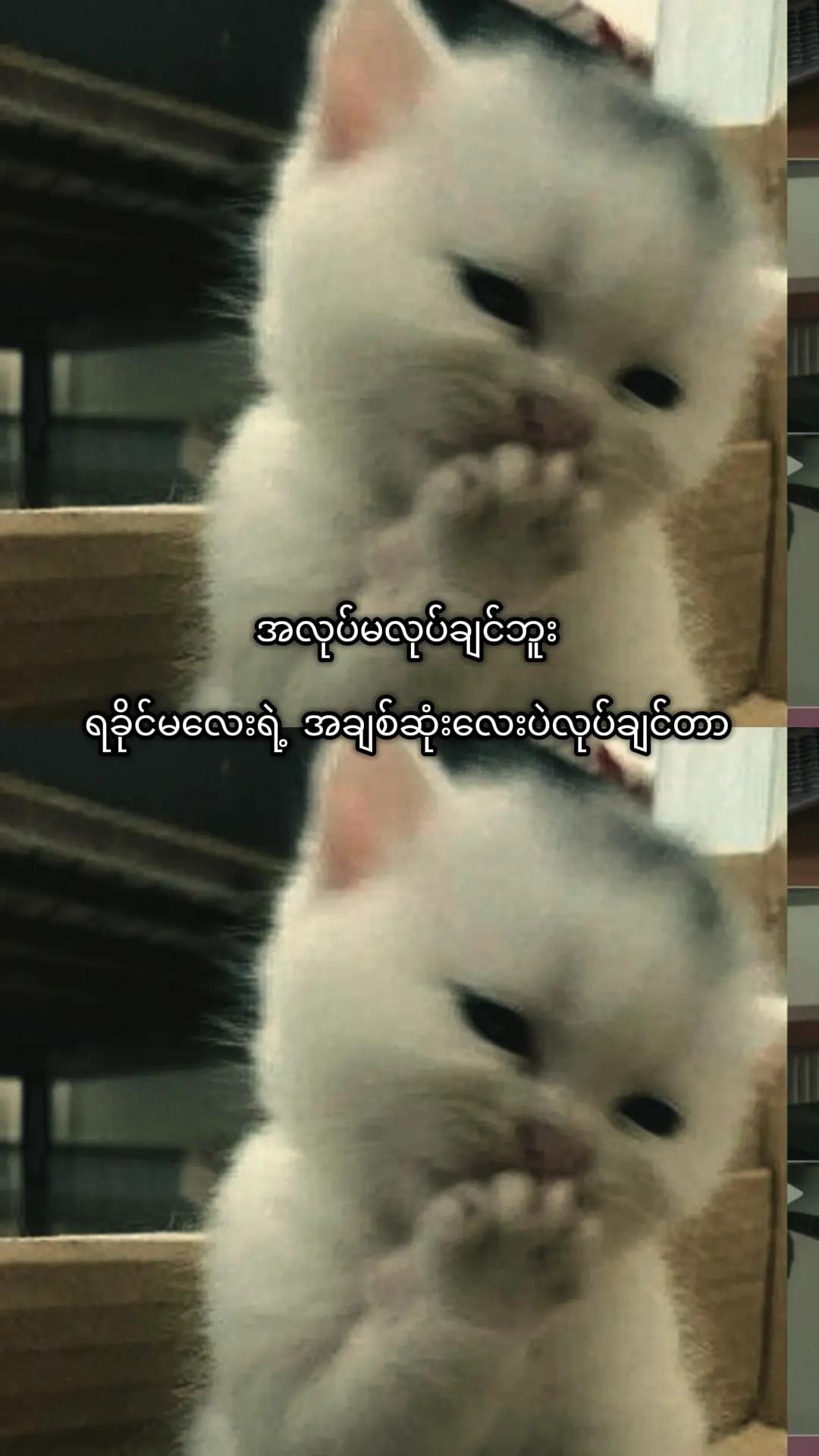 @Kʜɪɴᴇ Gʏɪᥫ᭡