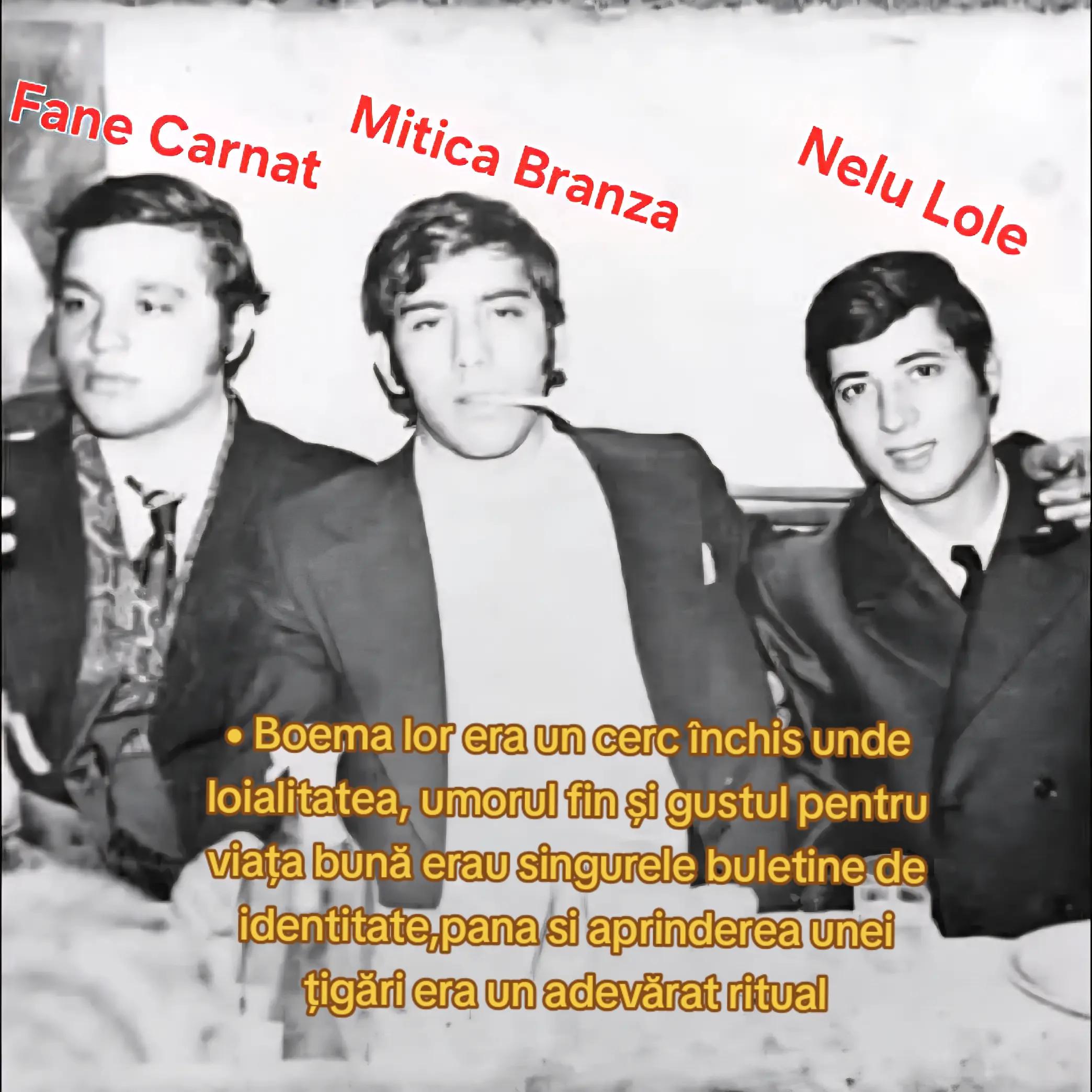 @barfe de pe tik tok