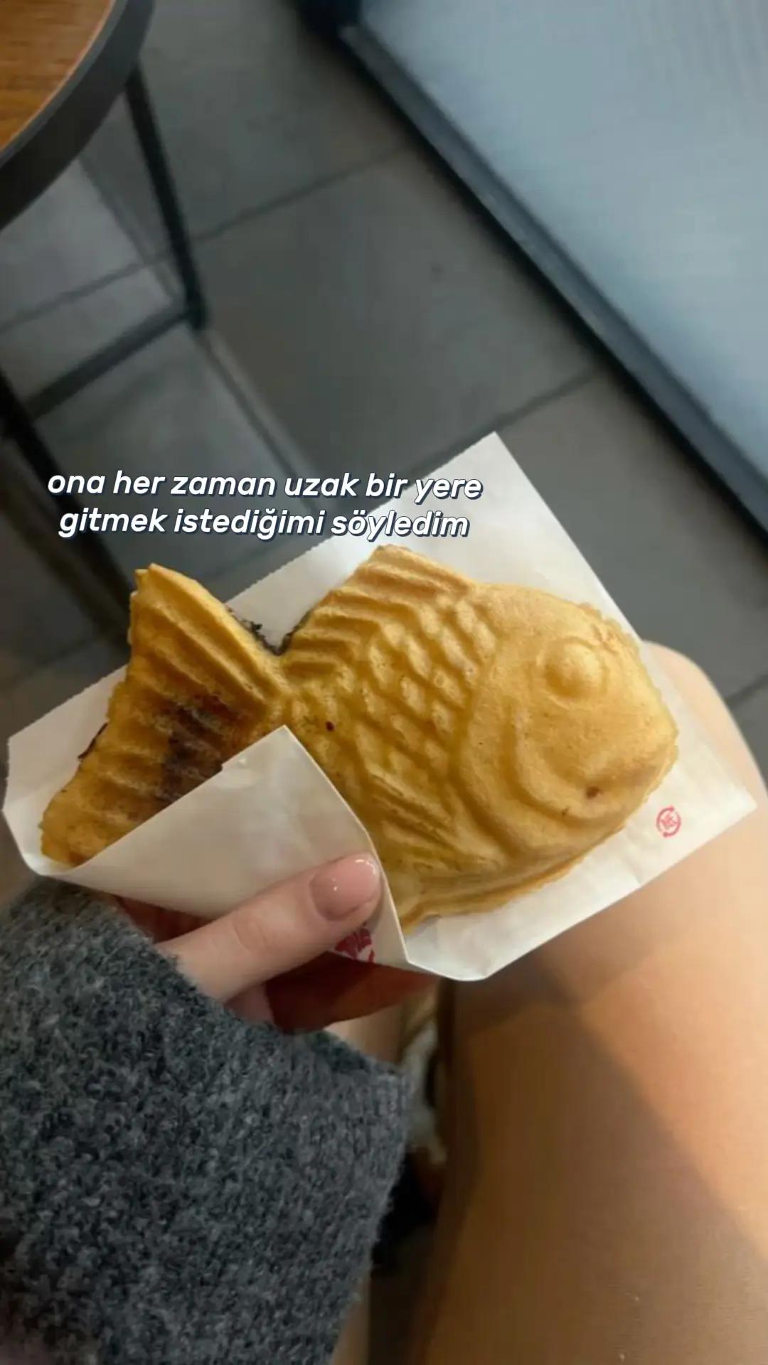 @bajicokmukemmel