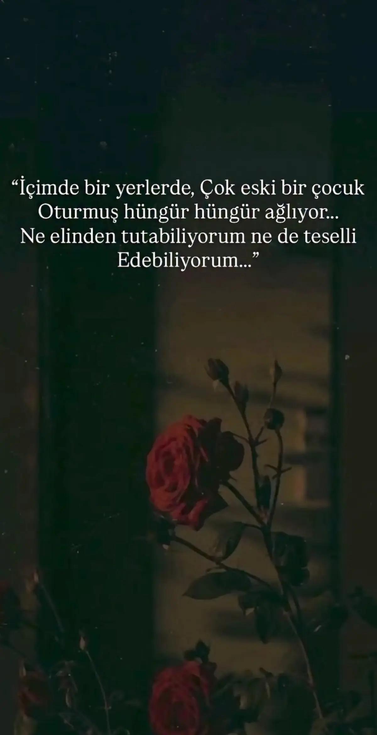 @mavideniz
