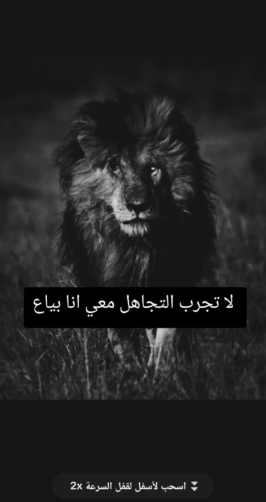 @🦁 scarface 🦁