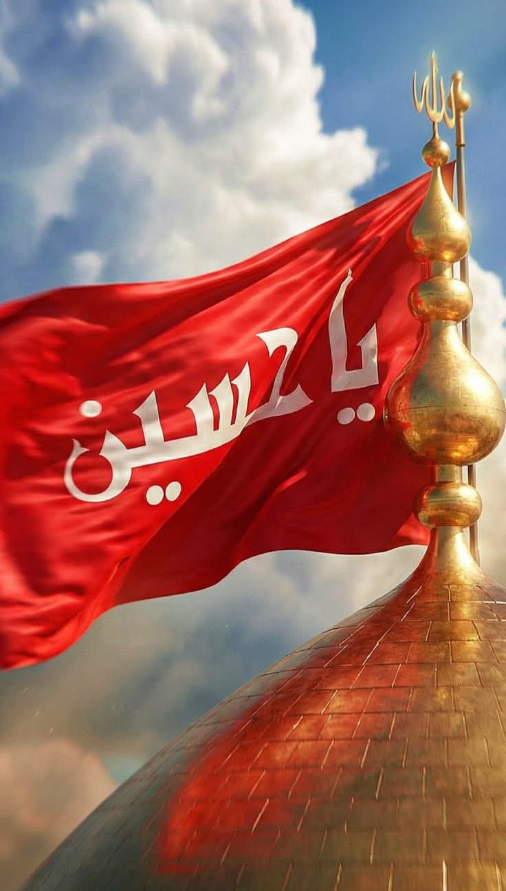 @علامہ ناصر عباس ملتان