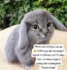 @Катафей
