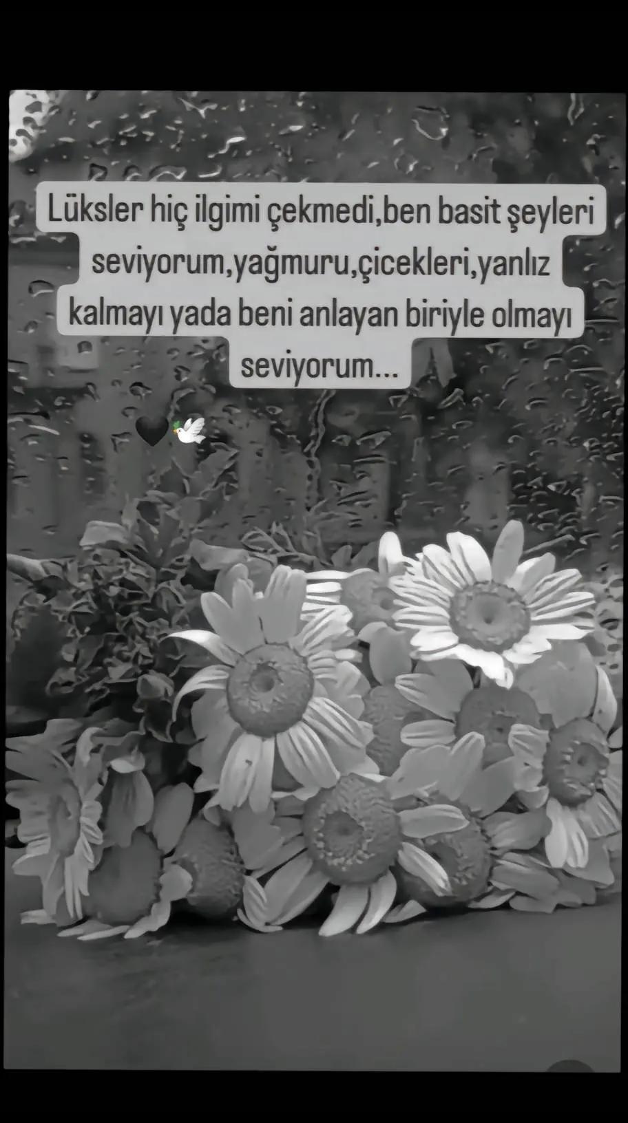 @£|)@🕊️