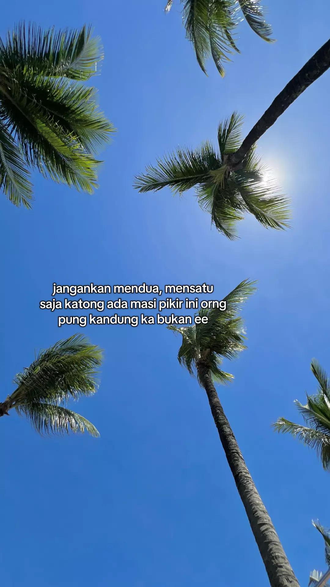 @່ &zwj; &zwj;&zwj; &zwj; &zwj;