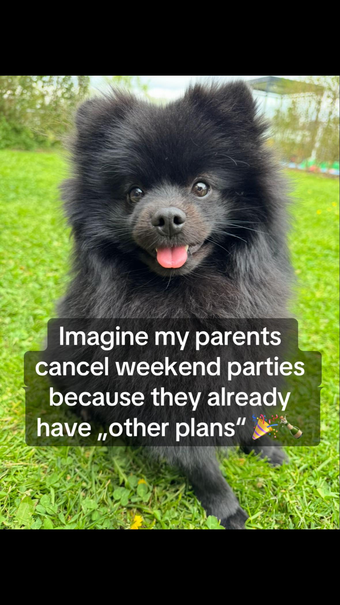 @Lylo