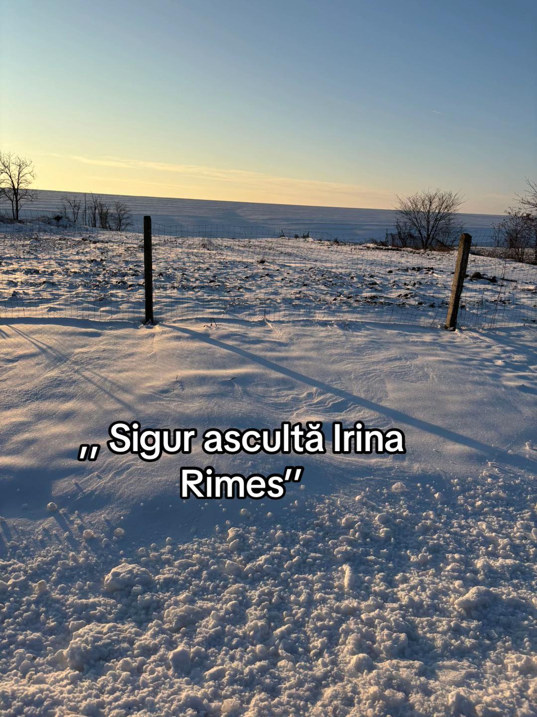 @Irii🎈