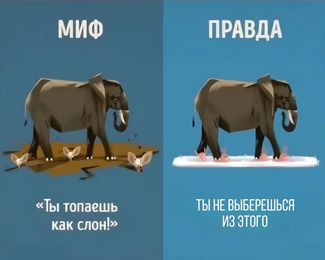 @Айрис.