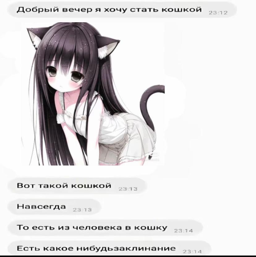@₍^. .^₎⟆