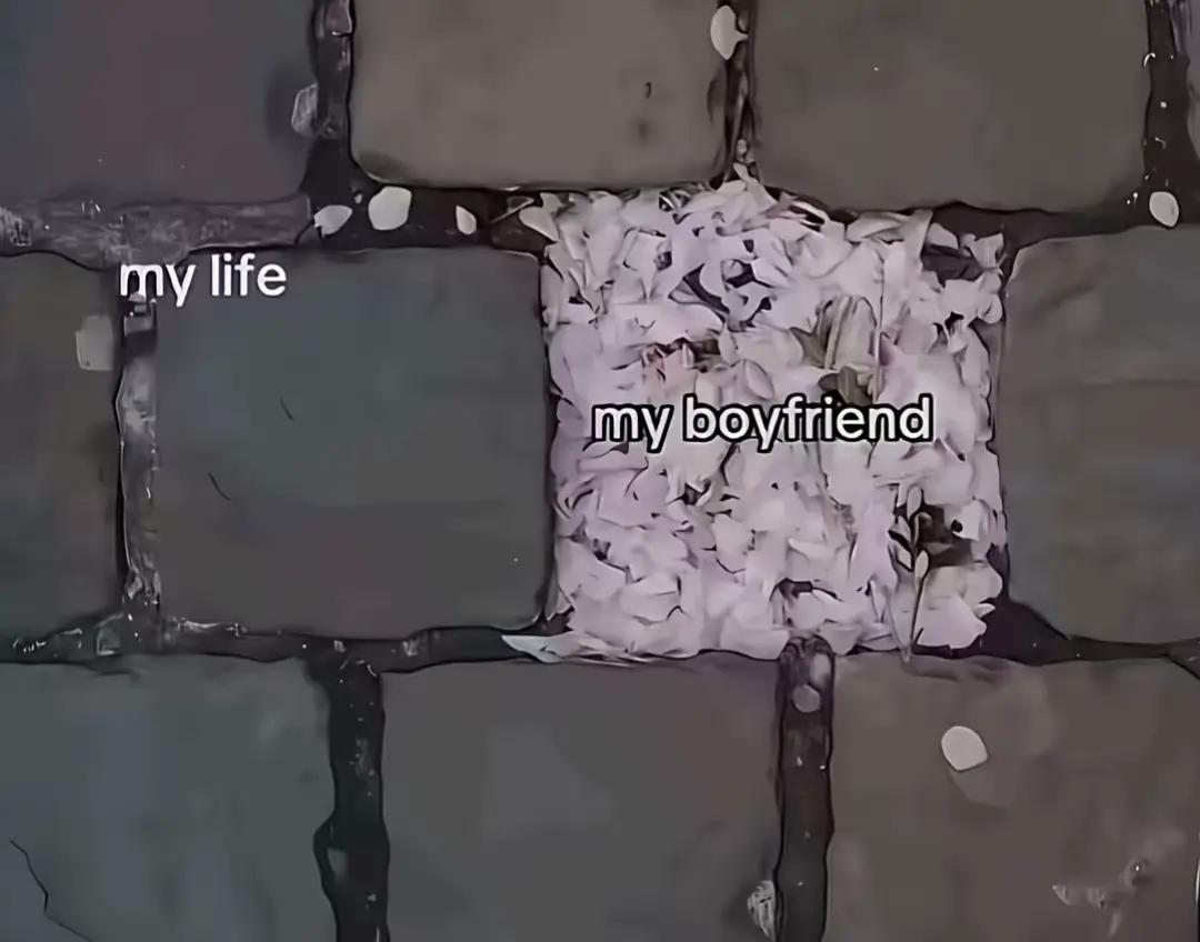 @zarmiq💘🦩