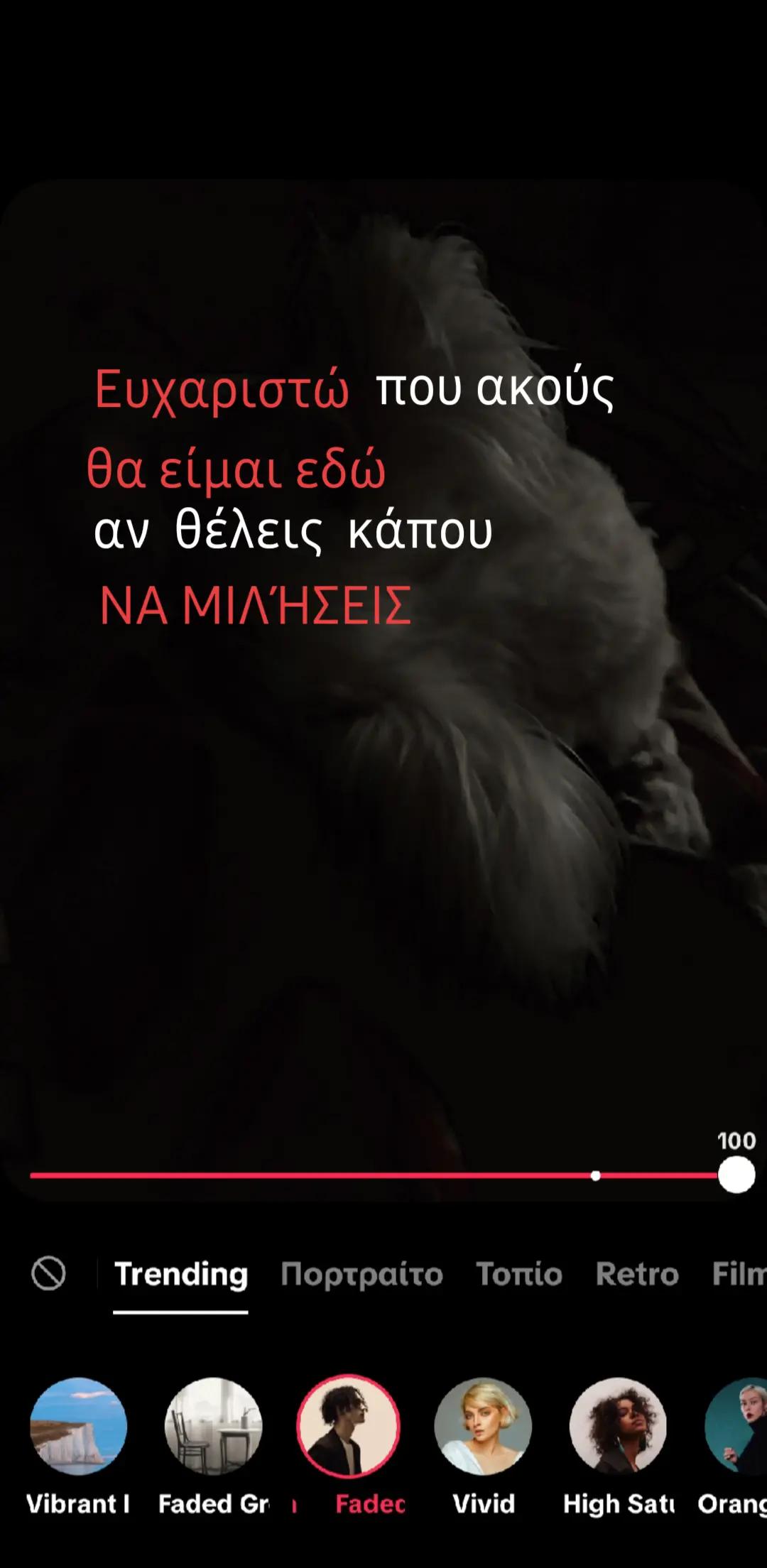 @.🦇
