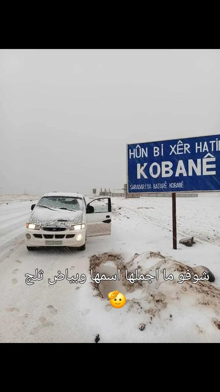 @Kurdistan Yak Welat✌️