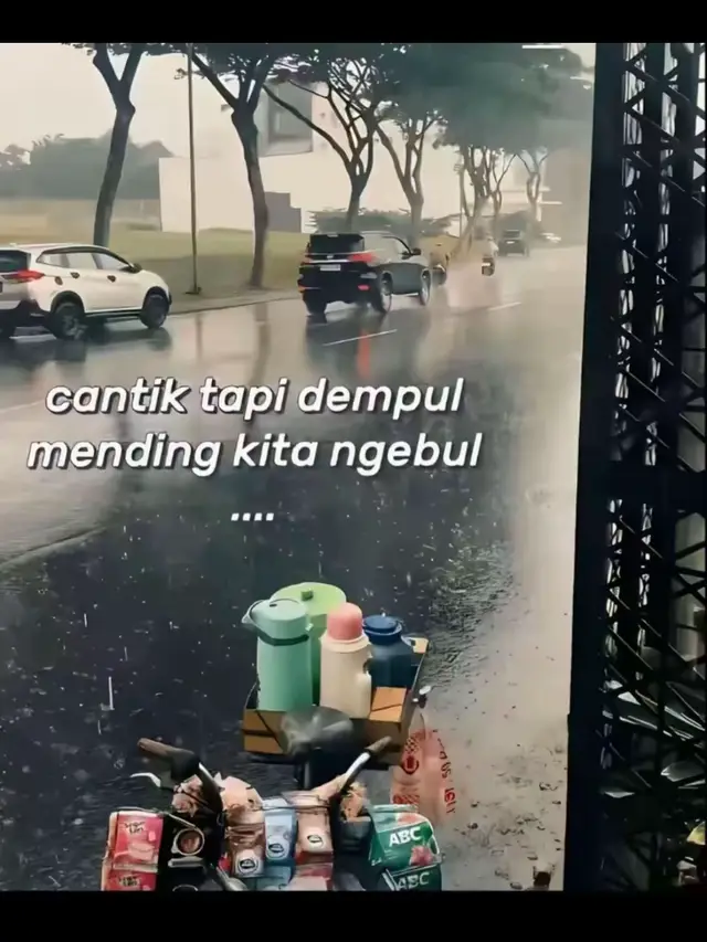@sepaanj
