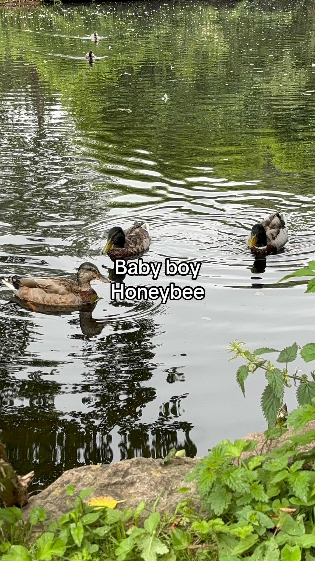 @Lilly-Rose