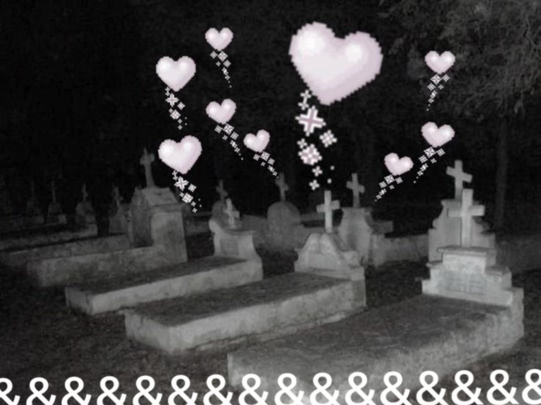 @mad。・:*’★,。・:*:♪woyw