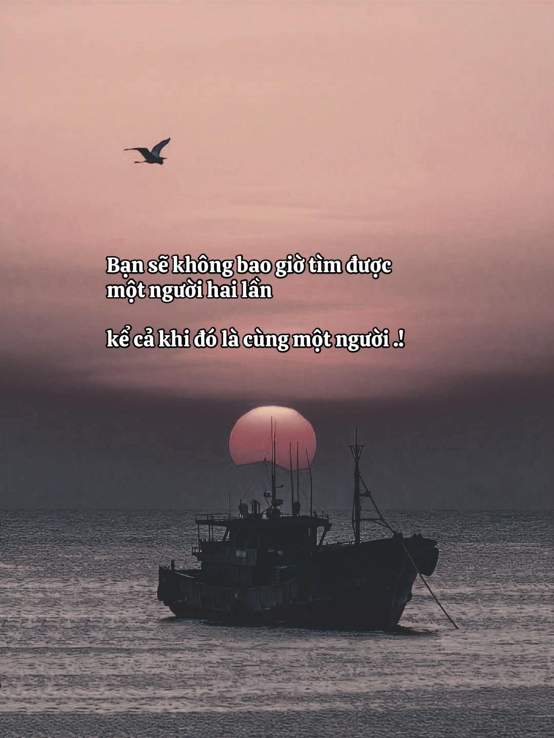 @❤️🌺𝓝𝓰𝓾̛𝓸̛̣𝓬 𝓛𝓸̂́𝓲🌺❤️