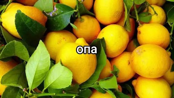 @!Самсунг галакси телефон беспл