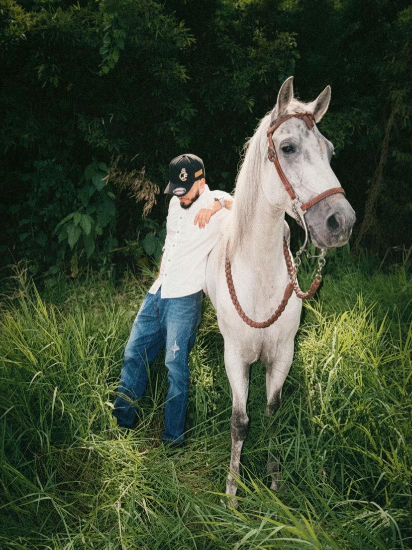 @💈🐴Huelgam_ty