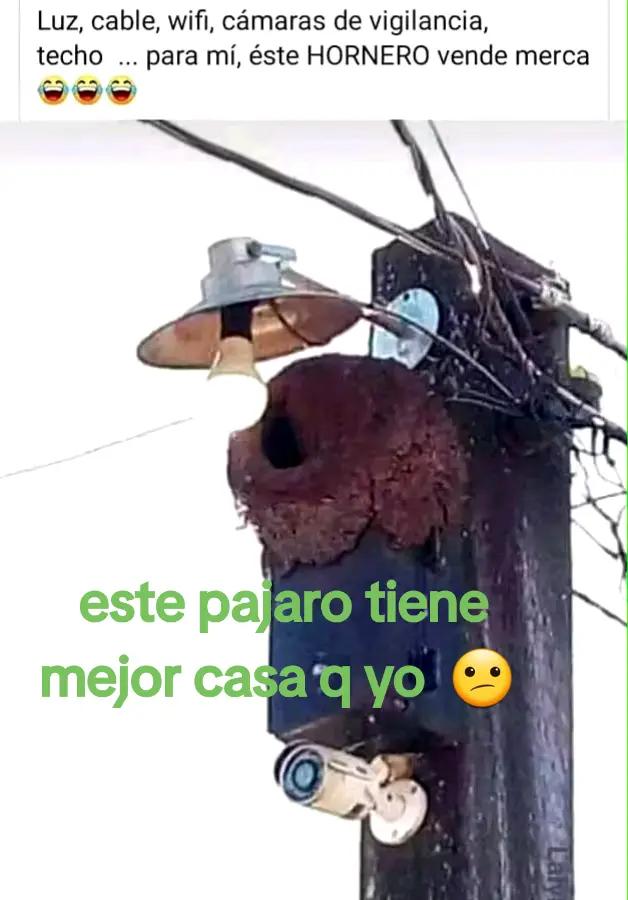 @Mary🥰