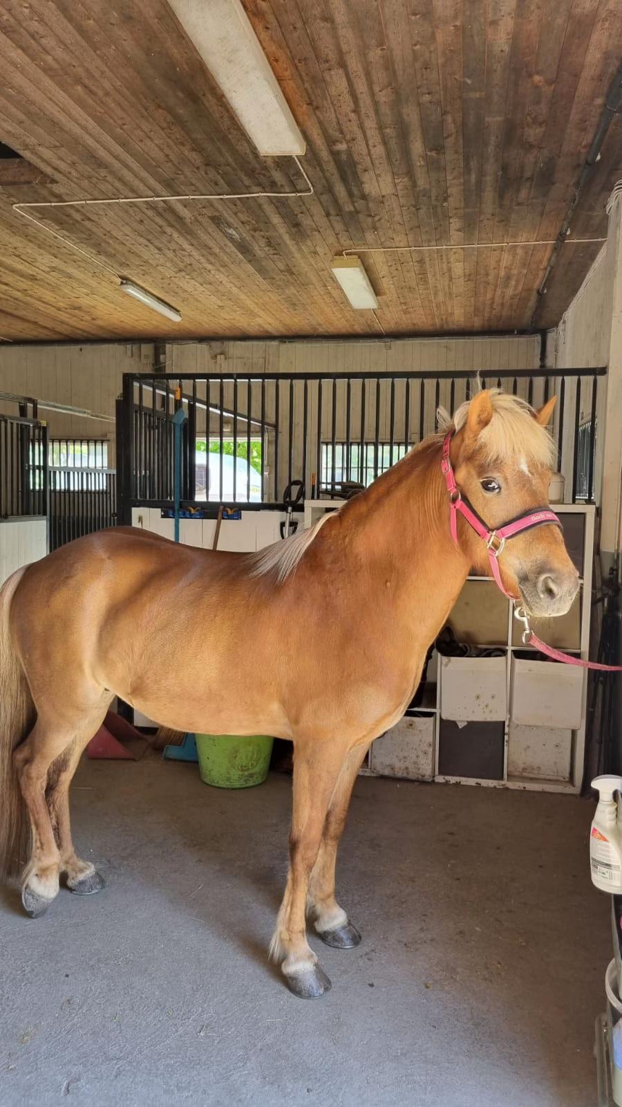 @equinectar
