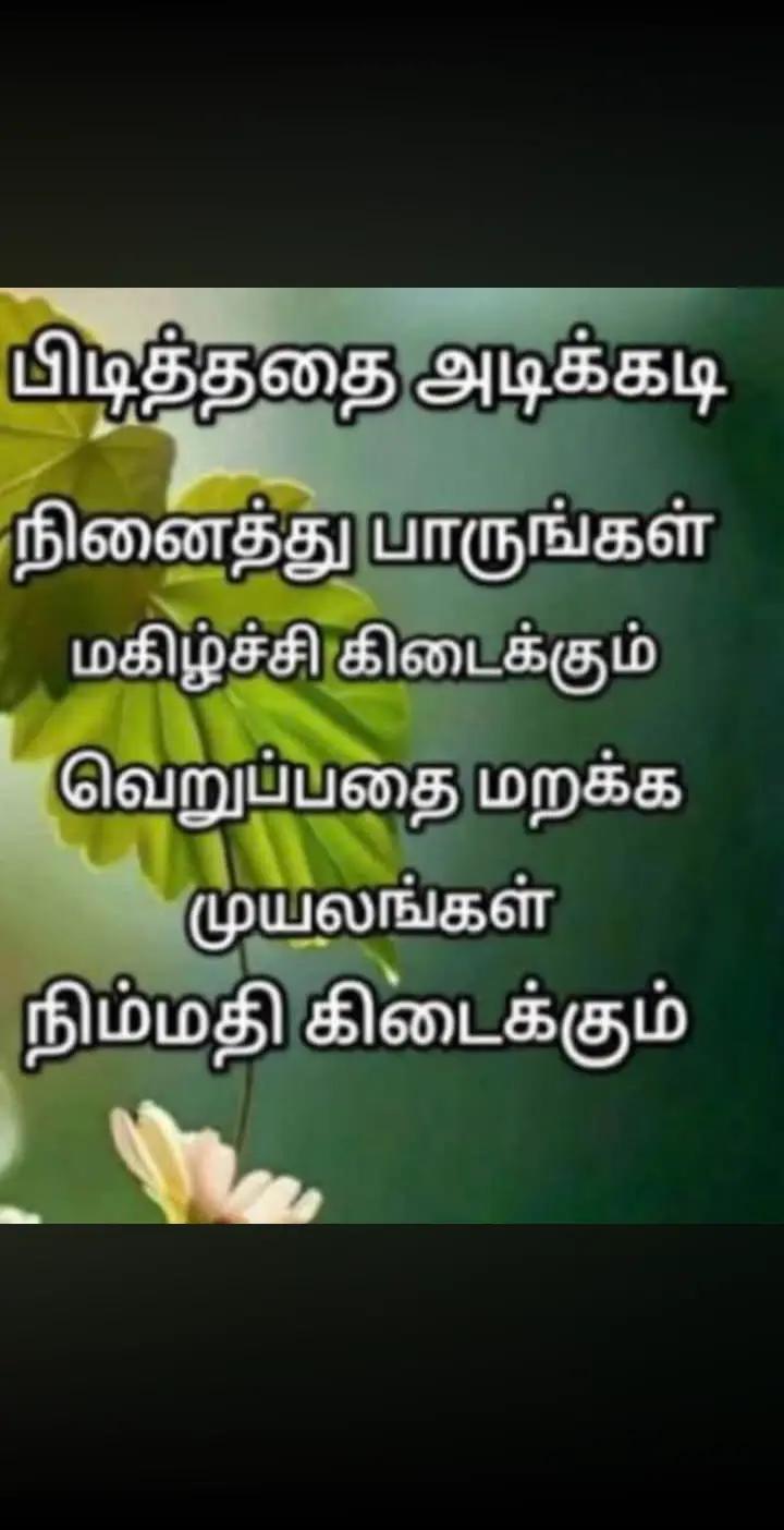@user35065586394432