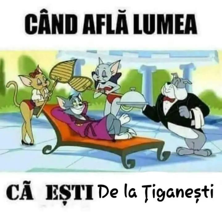 @_Țigănești_City_Oficial_