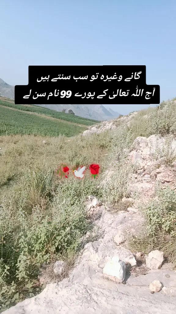@✨Zahir_khan✨
