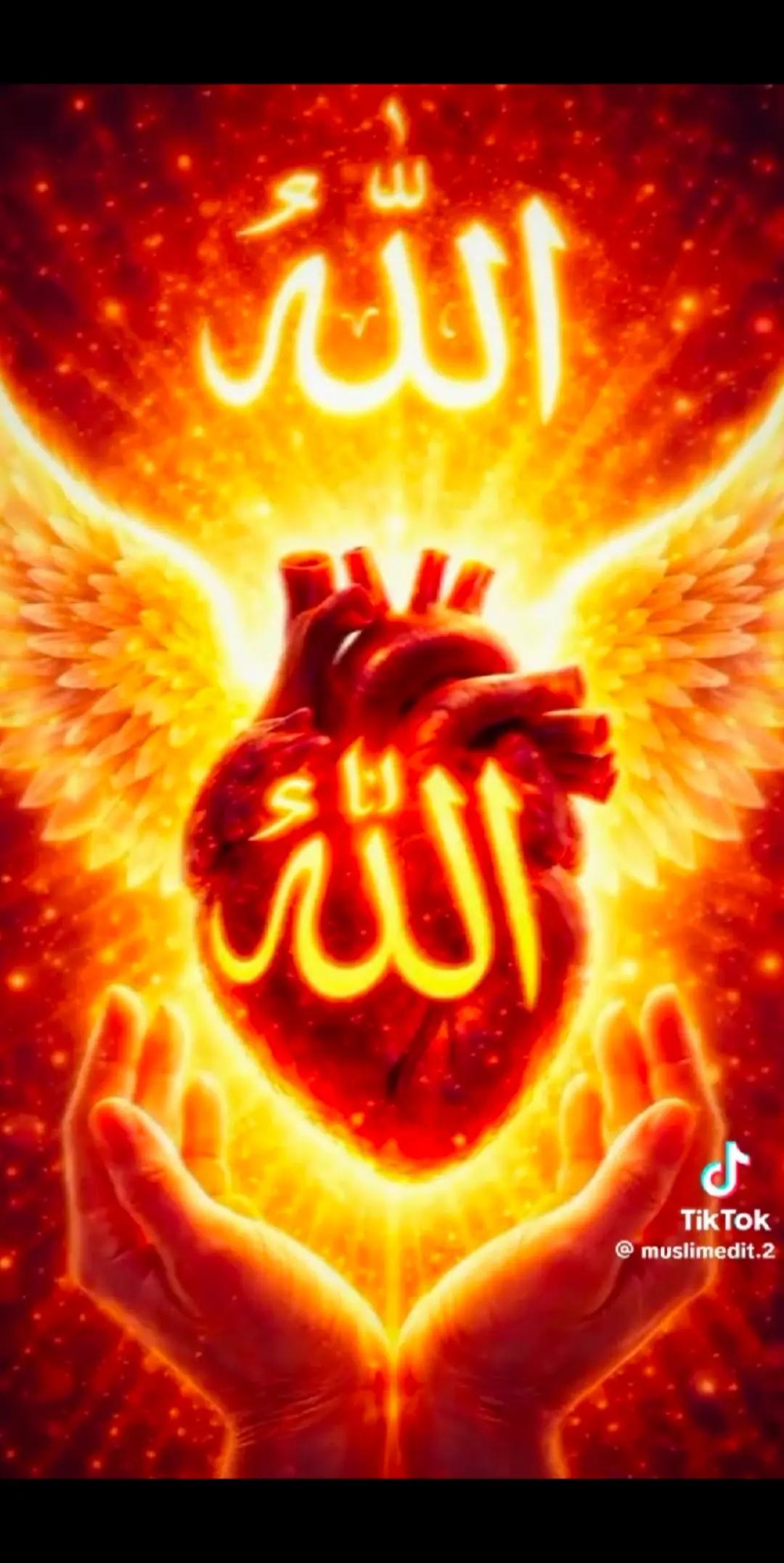 @AliRaza313