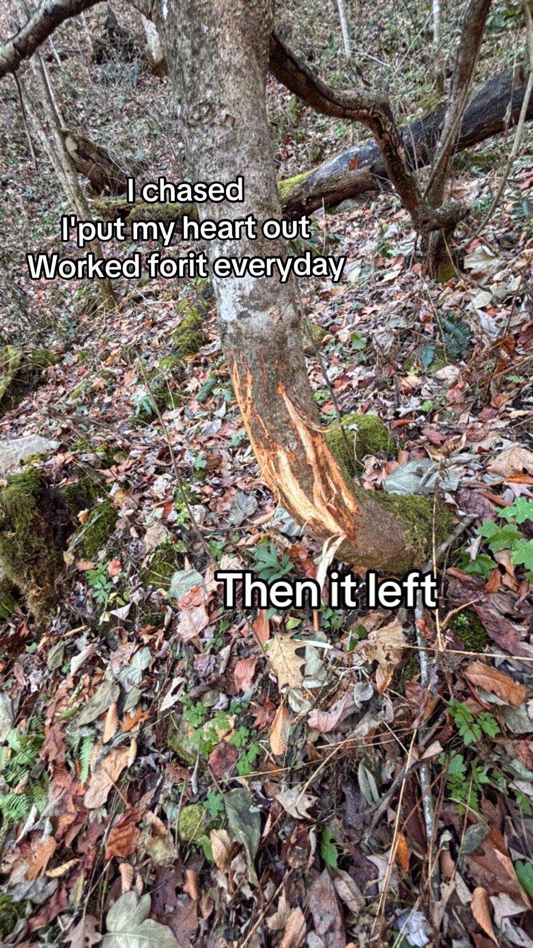 @kirkendolloutdoors