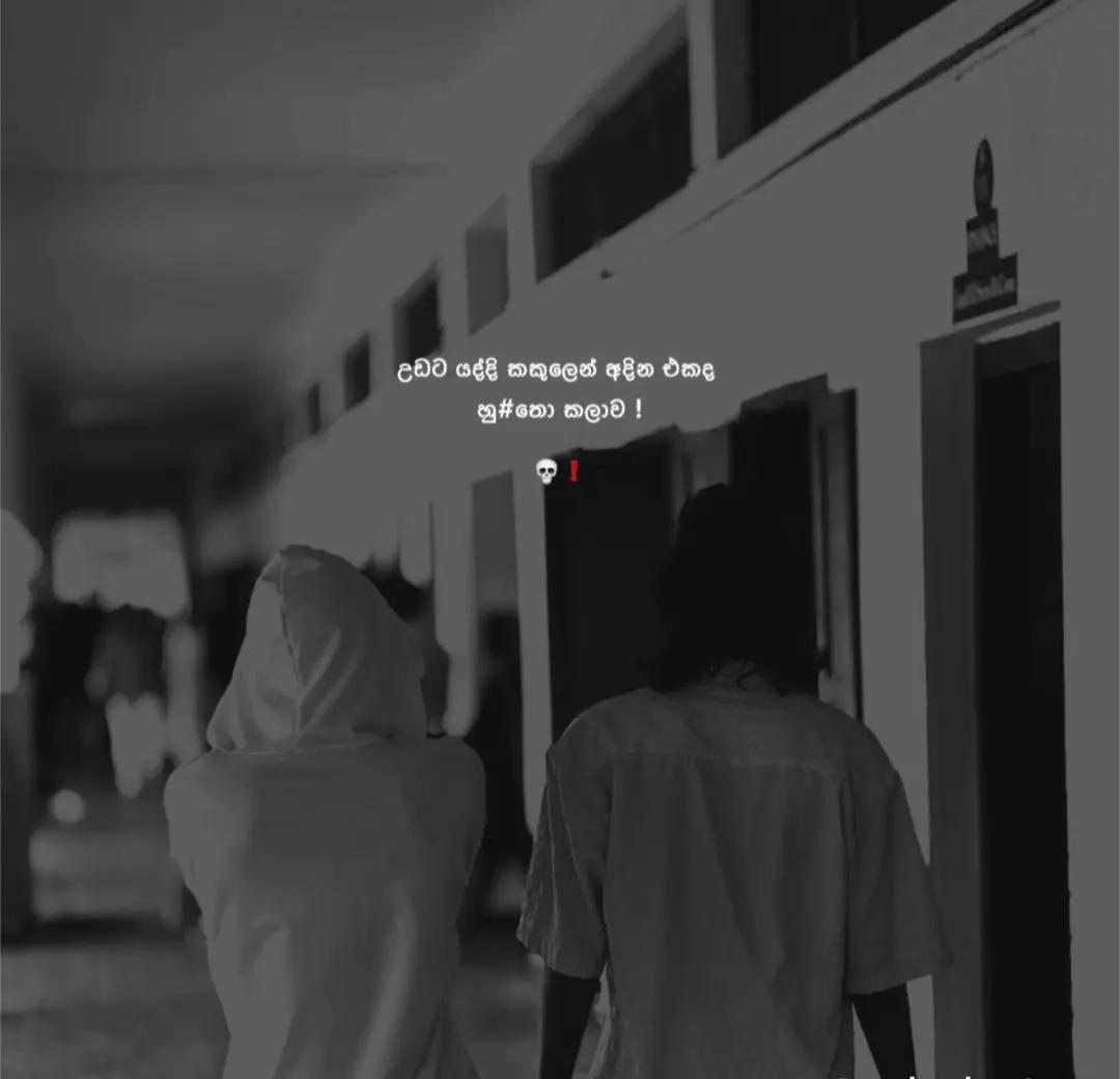 @๐โโโฌโฏ...๐พ๐ด๐๐ธ๐ธ...โฏโฌโโ๐