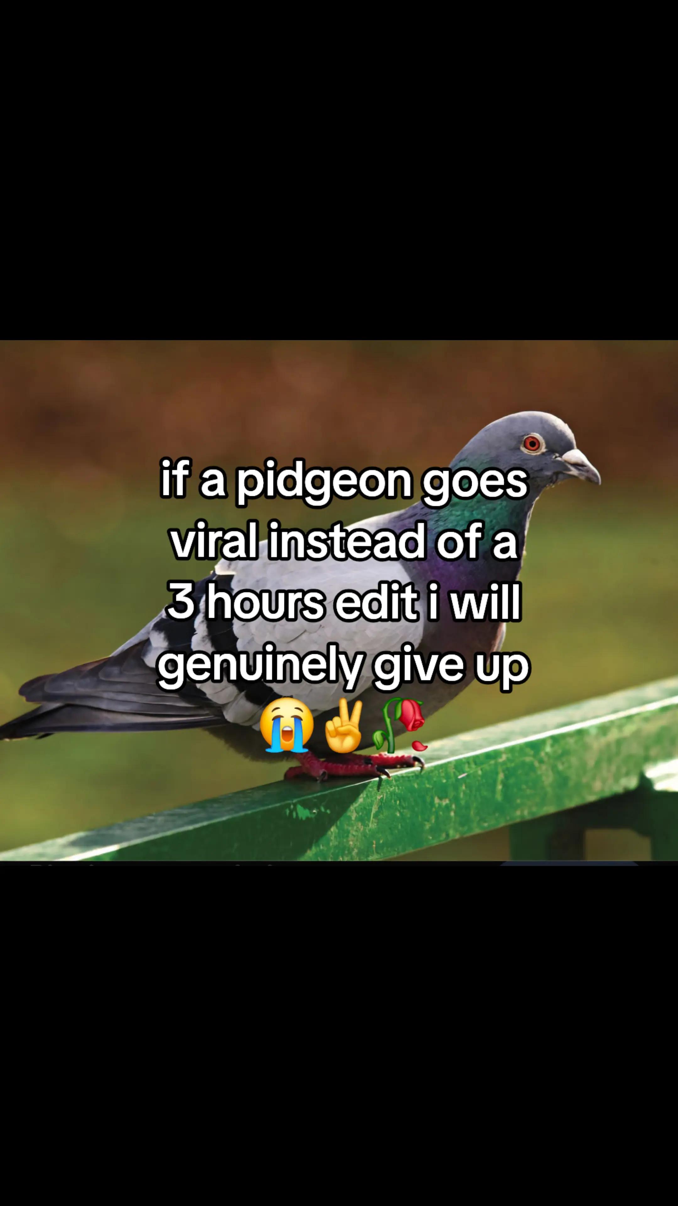 @relateable