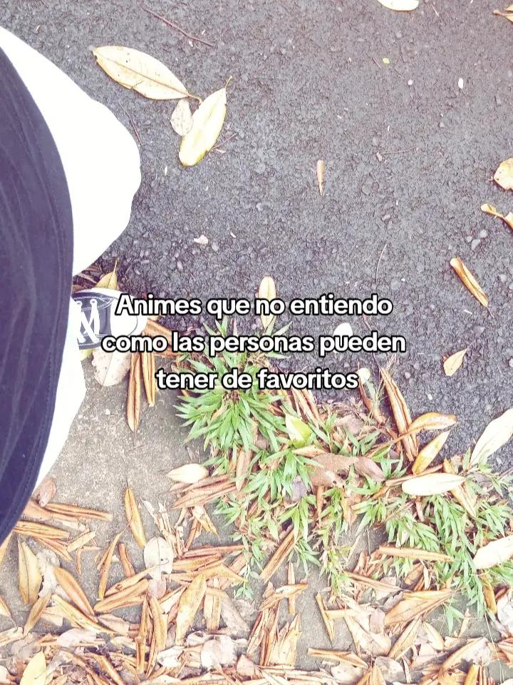 @glend 🌙